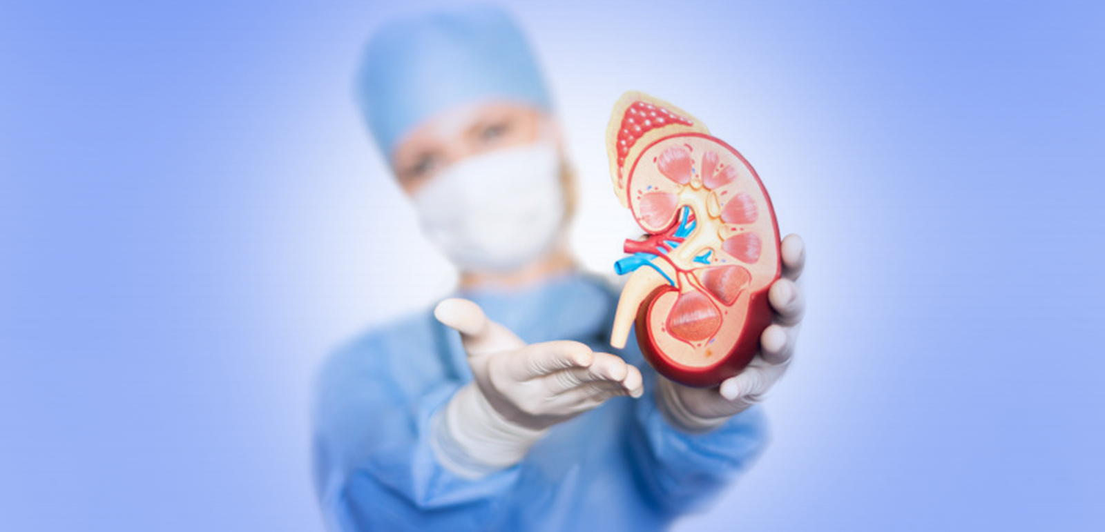 kidney transplant surgeon simulator