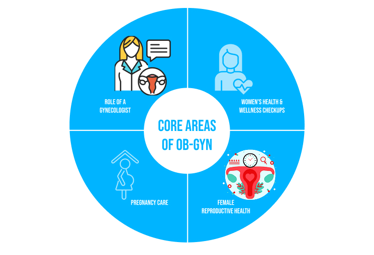 Core areas of OB-GYN illustrated in a circle – role of a gynecologist, women’s health and wellness checkups, pregnancy care, and female reproductive health.