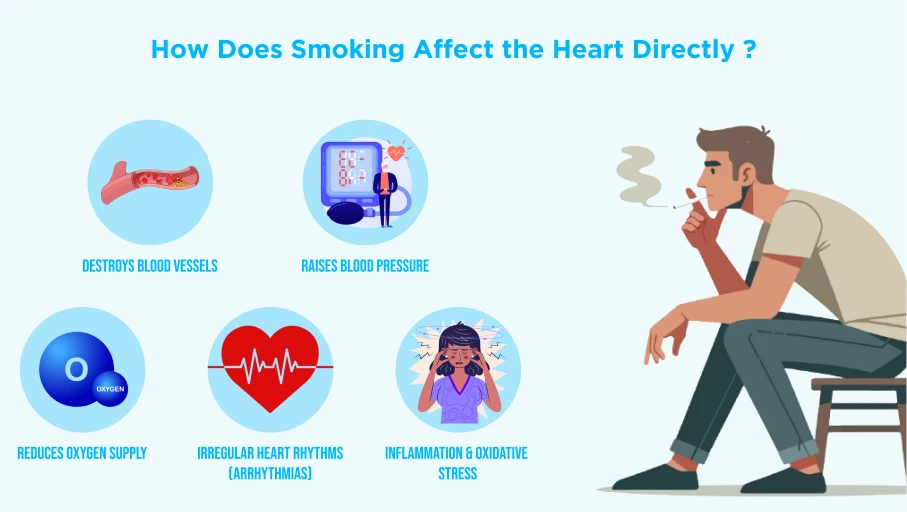 Illustration showing how smoking affects the heart with icons representing destroyed blood vessels, raised blood pressure, reduced oxygen supply, irregular heart rhythms, and inflammation with oxidative stress.