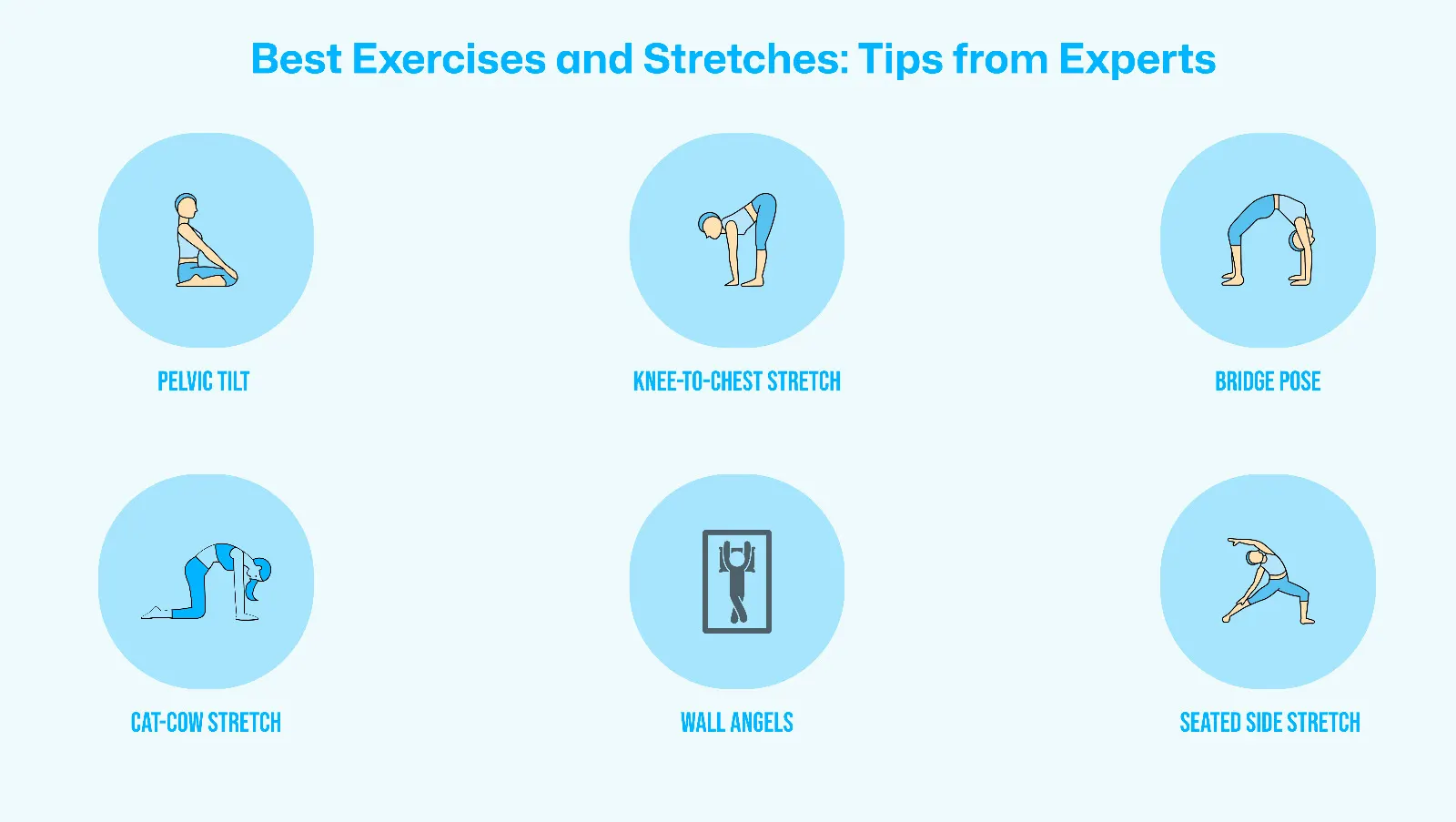 Set of expert-recommended spine-friendly exercises including pelvic tilt, knee-to-chest stretch, bridge pose, cat-cow stretch, wall angels, and seated side stretch.